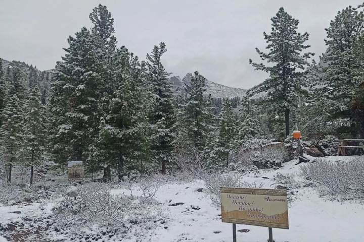 Снег выпал в Красноярском крае Снег выпал в Красноярском крае