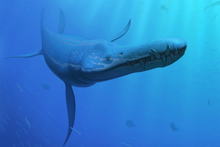 Ученые переписали эволюционную историю древних рептилий. Им помогли зубы из Сибири Ученые переписали эволюционную историю древних рептилий. Им помогли зубы из Сибири