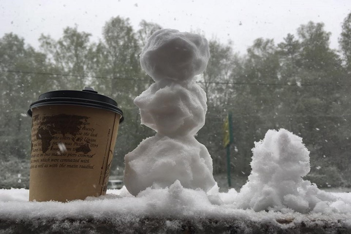 «С первым снегом, Новосибирск!» «С первым снегом, Новосибирск!»