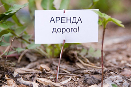 Многодетным семьям Иркутской области придется платить за аренду участков, выделенных региональным правительством