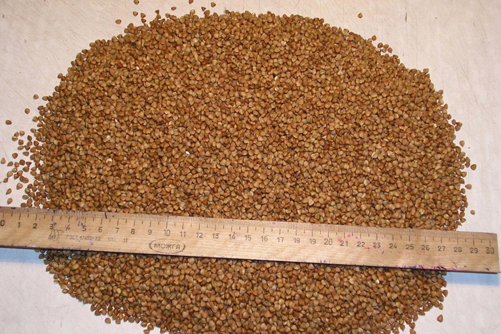 Алтай побил рекорд по производству растительного масла и круп Алтай побил рекорд по производству растительного масла и круп