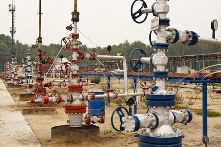 «Роснефть» и «Газпром» уличили в загрязнении воздуха в Томской области «Роснефть» и «Газпром» уличили в загрязнении воздуха в Томской области