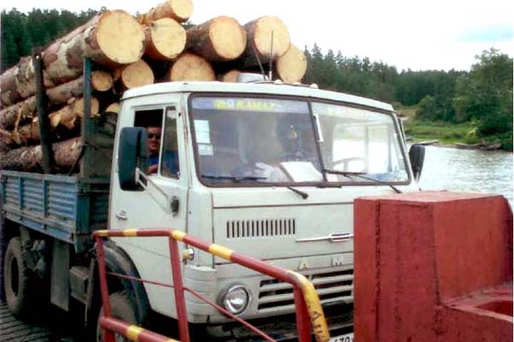 Ордынский лесхоз решили обанкротить