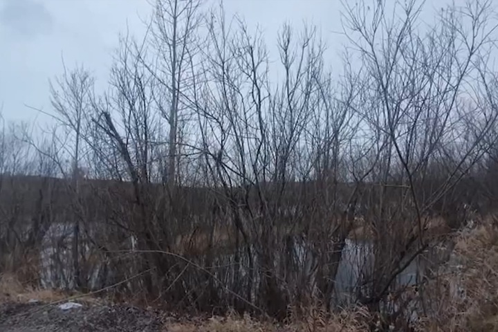 Пять красноярцев пошли под суд за изнасилование школьницы молотком и убийство Пять красноярцев пошли под суд за изнасилование школьницы молотком и убийство