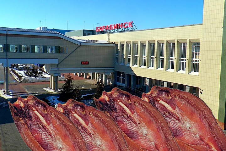 Кофе на штанах, язи в руках: как жителей Барабинска судят за избиение полиции копченой рыбой Кофе на штанах, язи в руках: как жителей Барабинска судят за избиение полиции копченой рыбой