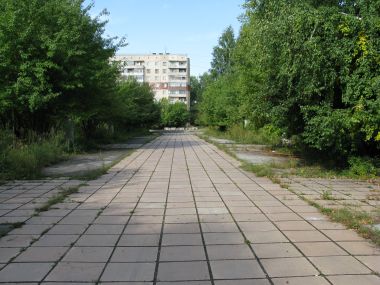 Центральная аллея парка