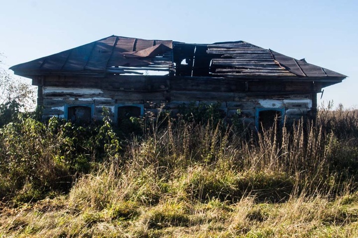 Новосибирские депутаты: Ситуация в сельском хозяйстве близка к критической Новосибирские депутаты: Ситуация в сельском хозяйстве близка к критической
