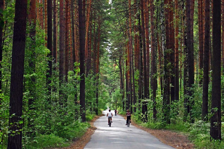 Новосибирское заксобрание заручилось поддержкой Травникова в вопросе запрета застройки Заельцовского парка