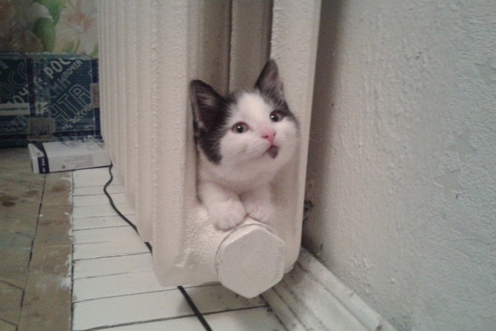 Отопительный сезон начался в Новосибирске