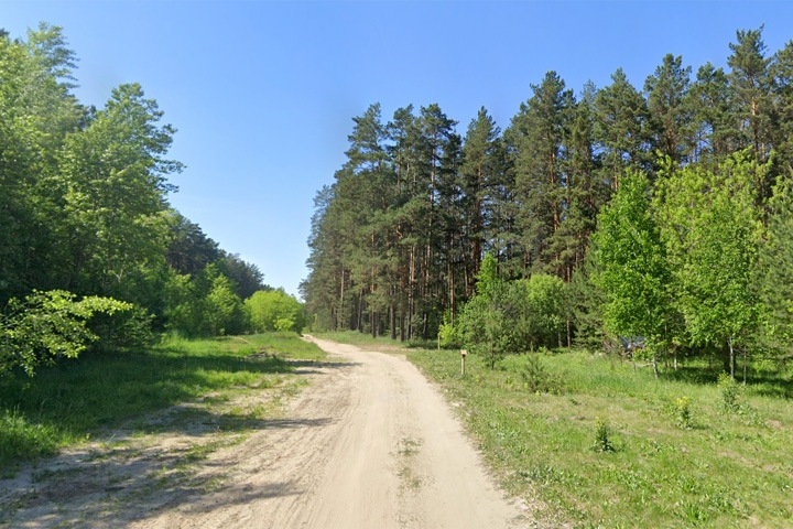 Повешенный мужчина найден в лесу Новосибирска