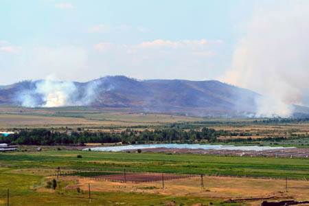 Площадь лесных пожаров в Сибири выросла на 6 тыс. га