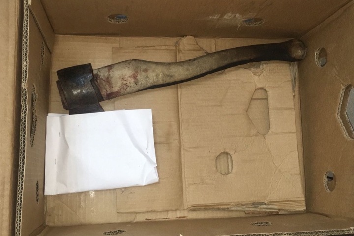 Жительница Новосибирской области ударила мать топором и подожгла