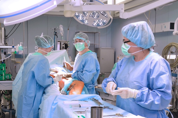 Суд подтвердил картельный сговор при закупках клиники Мешалкина