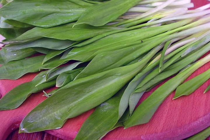 Алтайский сборщик черемши облил бензином подругу на спор и поджег