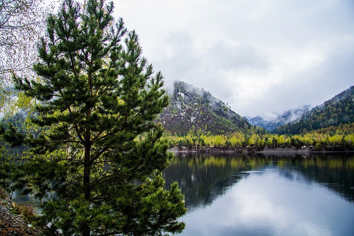 Туристические миллиарды в Хакасии, взятка лапшой в Новосибирске. Числа недели
