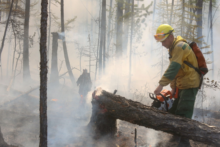 Площадь пожаров в Сибири превысила 51 тыс. га