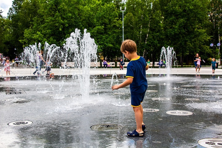 Жара до +28 придет в Новосибирскую область Жара до +28 придет в Новосибирскую область