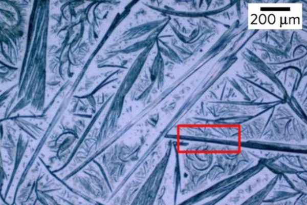 Уральские ученые нашли способ использовать глицин в биосовместимых «флэшках» Уральские ученые нашли способ использовать глицин в биосовместимых «флэшках»