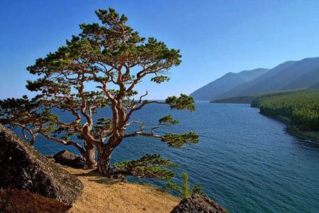 Иностранцы демонстрируют повышенный спрос на туризм в Сибири 