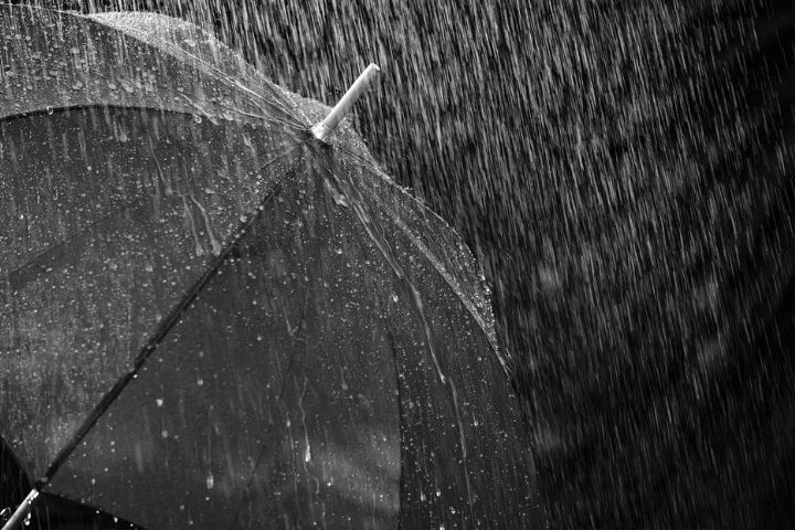 Грозы и ослабление жары ожидают новосибирцев