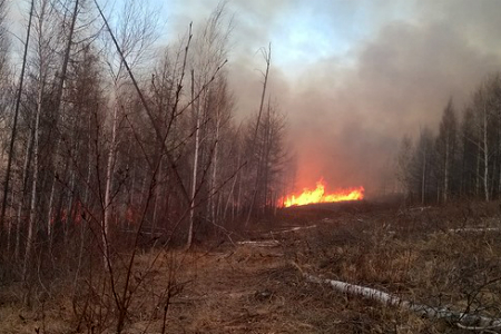Площадь пожаров в Забайкалье достигла 900 га Площадь пожаров в Забайкалье достигла 900 га