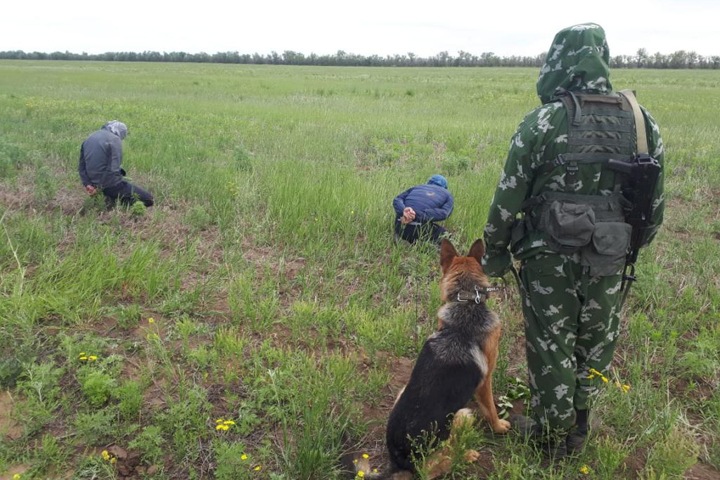 Жители Киргизии попытались незаконно пересечь границу России спиной вперед Жители Киргизии попытались незаконно пересечь границу России спиной вперед