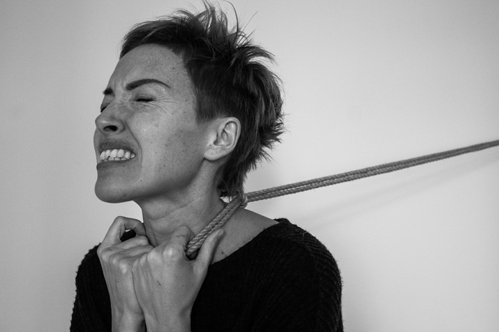 Почти 100 тонн трупов за три года и неэффективные расходы: КСП проверила «Новосибирский центр по проблемам домашних животных»