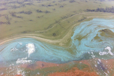 Глава Бурятии предложил провести круглые столы для поиска причин загрязнения Байкала