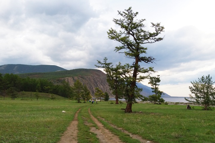 Глава комитета Госдумы оправдал закон о сплошных рубках у Байкала интересами Китая