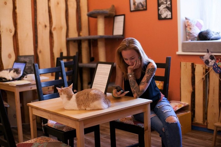 «Зоозащитник — это не сумасшедшая женщина с тысячью кошек» «Зоозащитник — это не сумасшедшая женщина с тысячью кошек»