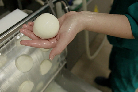 Итальянский сыродел наладил в Новосибирске единственное за Уралом производство моцареллы Итальянский сыродел наладил в Новосибирске единственное за Уралом производство моцареллы