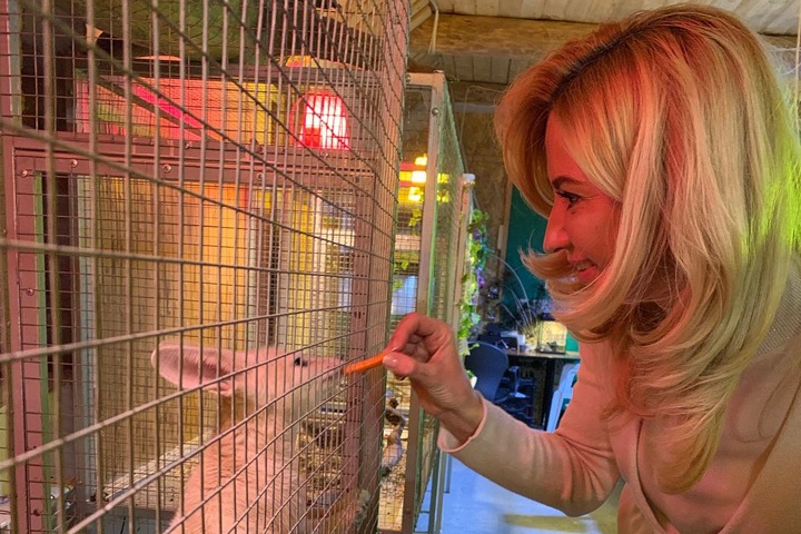 Глава омского минздрава попросила перестать искать виноватых в проблемах медицины региона в пандемию