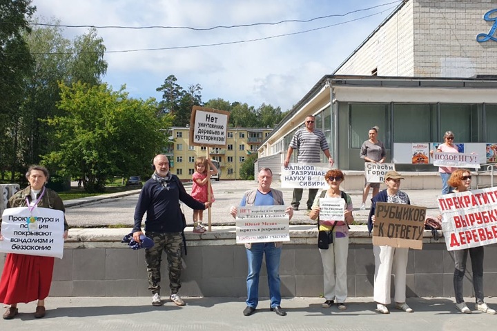 Новосибирцы вышли на пикеты против вырубок леса для корпусов НГУ