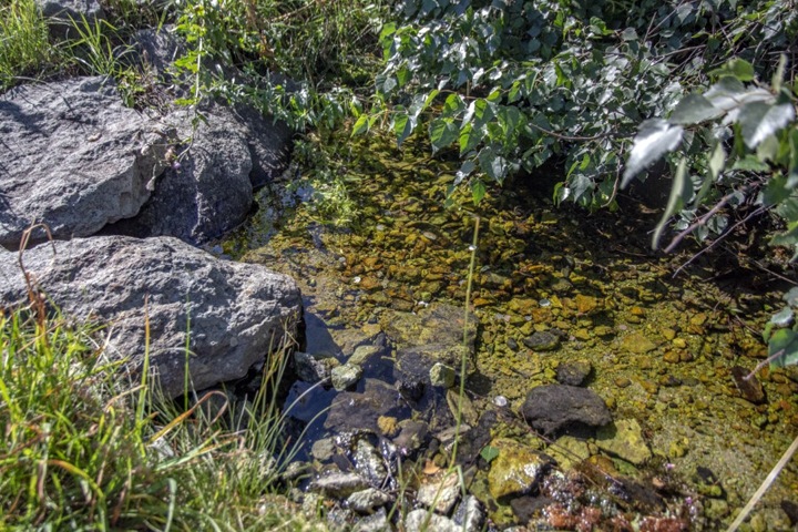 Алтайские родники, омский шоколад и байкальский загар. Сибирь за неделю Алтайские родники, омский шоколад и байкальский загар. Сибирь за неделю