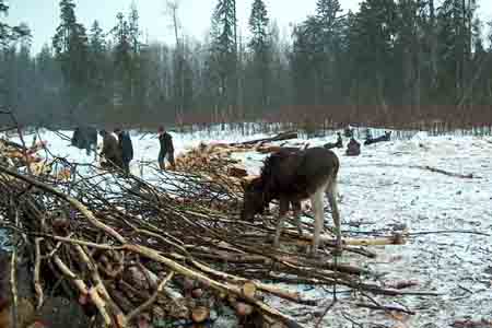 Заведующий психдиспансером в Красноярском крае сдавал больных в аренду 