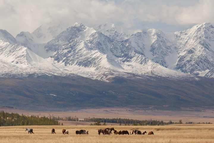 Бесплатная школа краудфандинга откроется для сибиряков