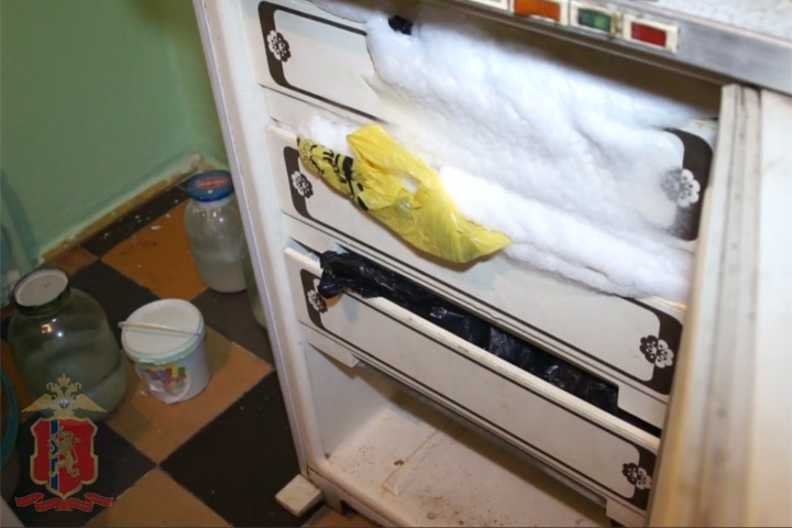 Красноярец два месяца хранил расчленную мать в морозилке Красноярец два месяца хранил расчленную мать в морозилке