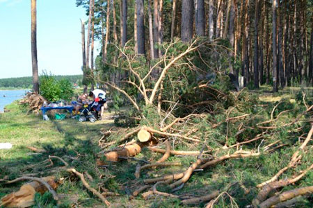 Новосибирские следователи возбудили уголовное дело по факту гибели двух детей во время урагана