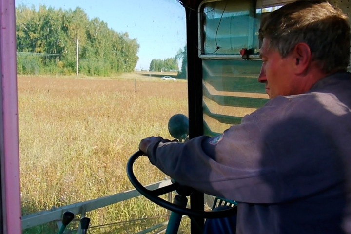 У них бывает засуха, а мы горим: новосибирские депутаты и аграрии сошлись на пересмотре господдержки У них бывает засуха, а мы горим: новосибирские депутаты и аграрии сошлись на пересмотре господдержки