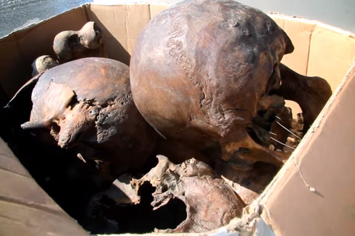 Ученые отнесли останки на месте новосибирской пересыльной тюрьмы к эпохе репрессий