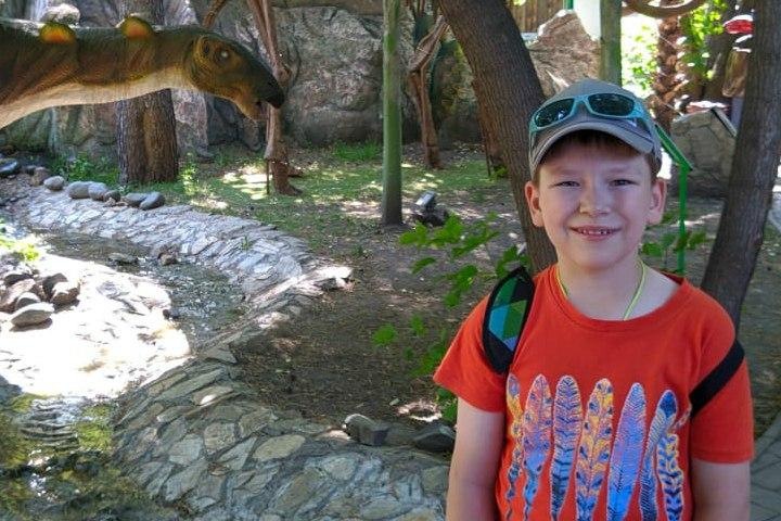 «Его жизнь стоит космических денег»: мама ребенка с инвалидностью из Новосибирска пожаловалась на отсутствие бесплатных обедов в школе