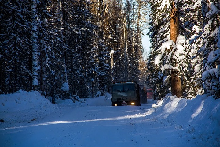 Депутаты позволили облправительству создавать «лесные парки» в Новосибирске Депутаты позволили облправительству создавать «лесные парки» в Новосибирске