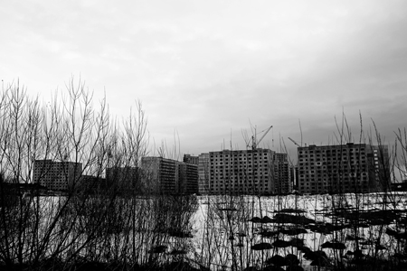 Общественный совет по градостроительству создан в Новосибирске