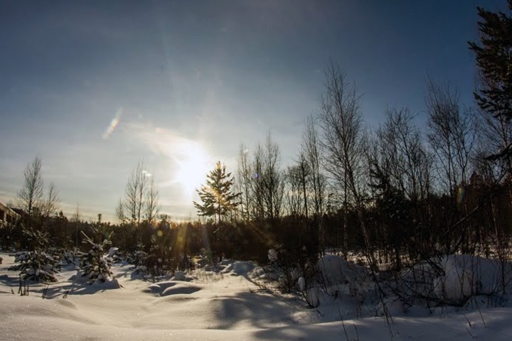 Резкое потепление пообещали новосибирцам