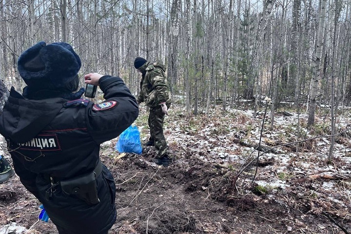 Скелет человека нашли в лесу под Томском