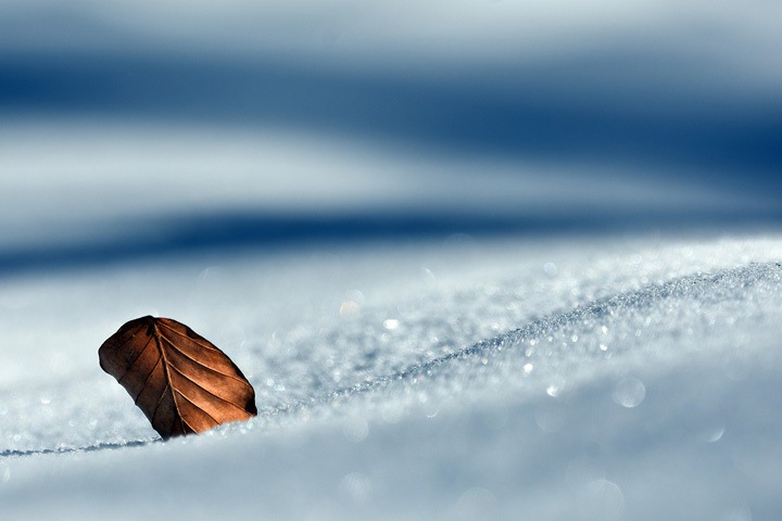 Кузбасский подросток съехал с горки в сугроб и погиб Кузбасский подросток съехал с горки в сугроб и погиб