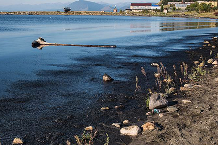 «Огонек»: Байкал не лечится? «Огонек»: Байкал не лечится?
