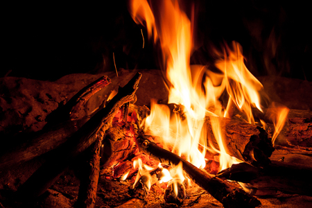 Жителям Новосибирской области запретили жечь мусор Жителям Новосибирской области запретили жечь мусор