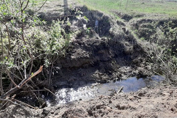 Новосибирский СК рассказал подробности уголовного дела Кудряшовского свинокомплекса