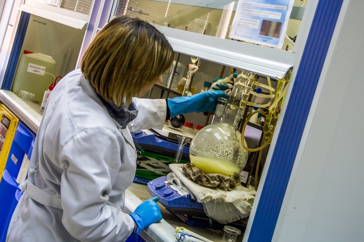 Институты СО РАН вынуждены сокращать ставки для выполнения майских указов